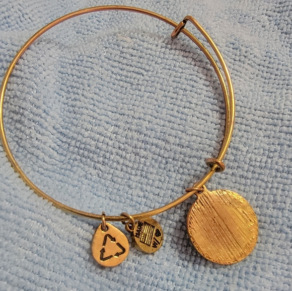 Alex and Ani-style gold tone bangle: AXO sorority - Picture 3 of 4
